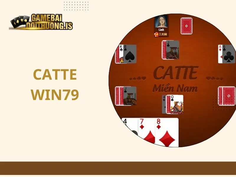 Catte Win79