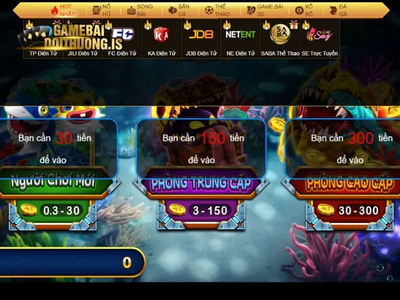 Cuộc đua săn cá qua nhiều vòng chơi