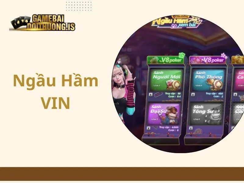 Ngầu Hầm VIN