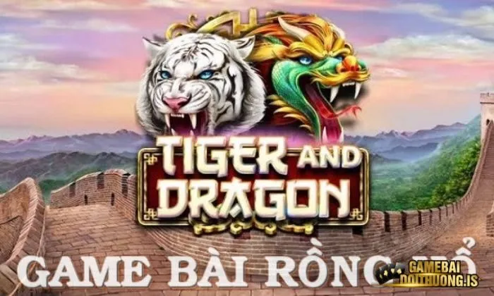 Trò chơi Rồng Hổ Mayclub được nhiều game thủ yêu thích