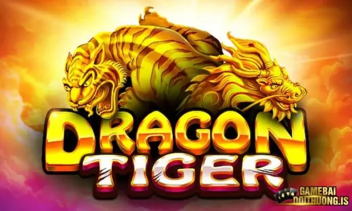 Giới thiệu cơ bản về Rồng hổ Sunwin