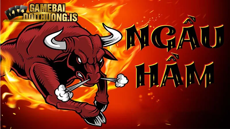 Chơi Bài Ngầu Hầm Nhatvip